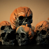 Evil Pumpkin Skulls print image