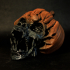 Evil Pumpkin Skulls print image