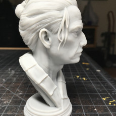 Picture of print of Samurai Bust