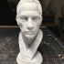 Samurai Bust print image