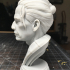 Samurai Bust print image