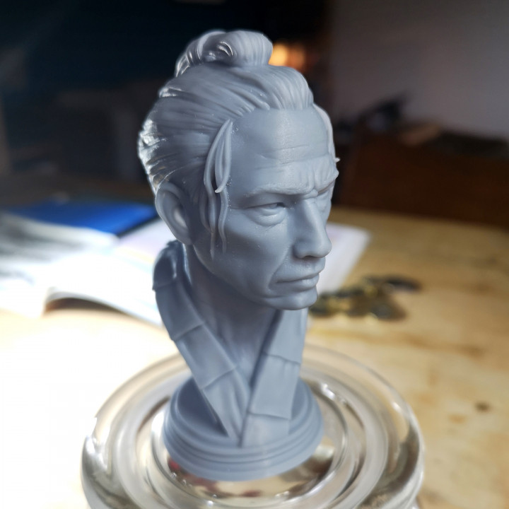 Samurai Bust image