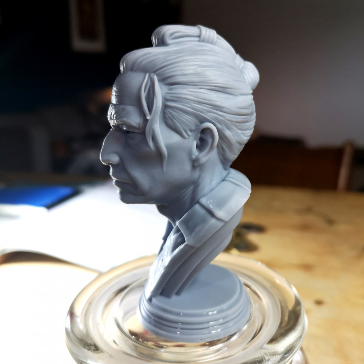 Samurai Bust image