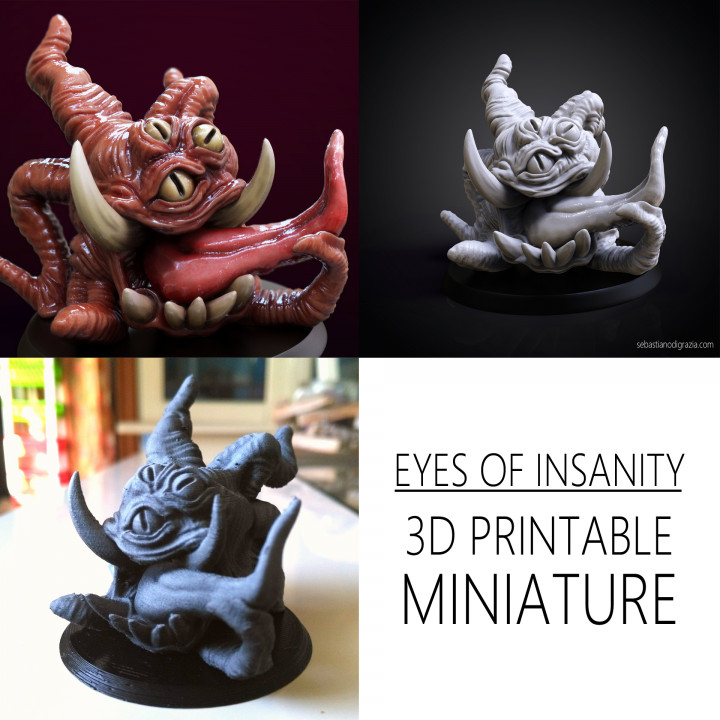 Eyes of Insanity Miniature image