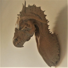 Picture of print of Dragon