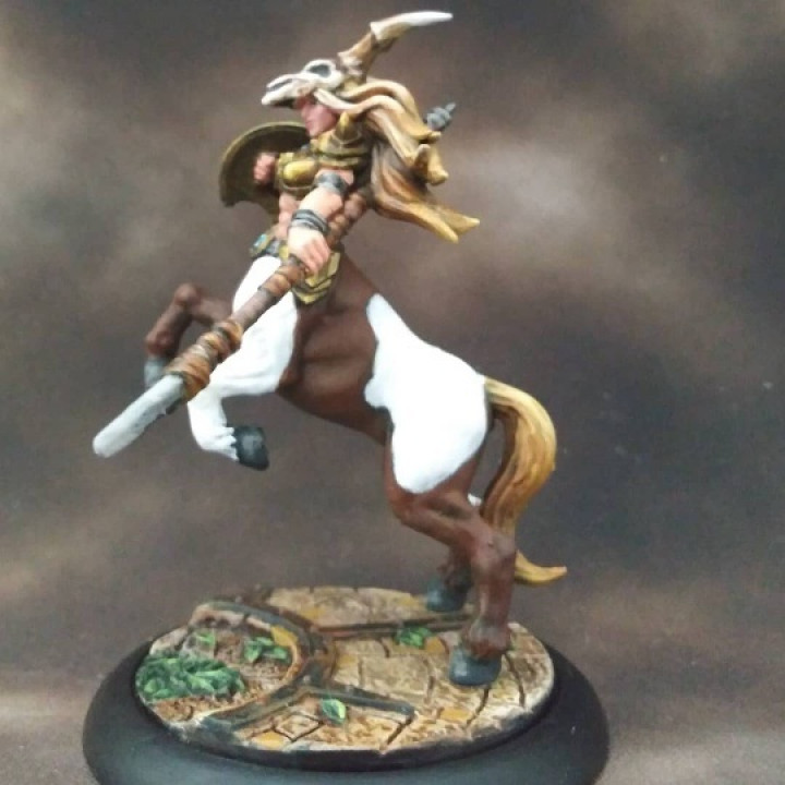 Sagittarius & Khararis - 2 Centaurides Heroines Set (AMAZONS! Kickstarter) image