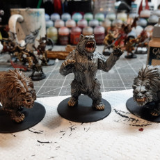 Picture of print of Giant Bears - 3 Units (AMAZONS! Kickstarter)