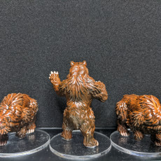 Picture of print of Giant Bears - 3 Units (AMAZONS! Kickstarter)