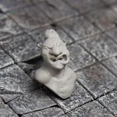 Picture of print of Goblin Explorer Bust