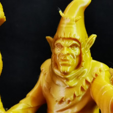 Picture of print of Goblin Shaman miniature