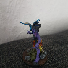 Picture of print of Dragon Sorceress