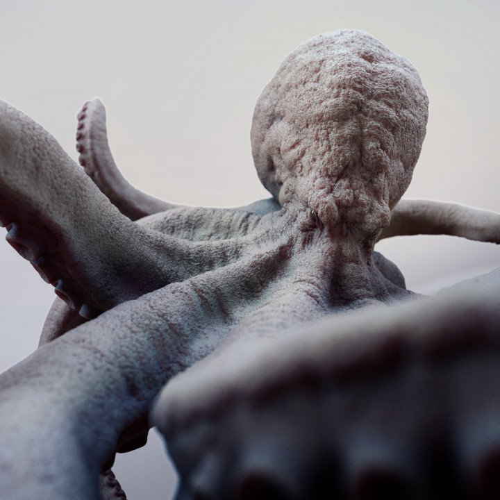 Kraken image