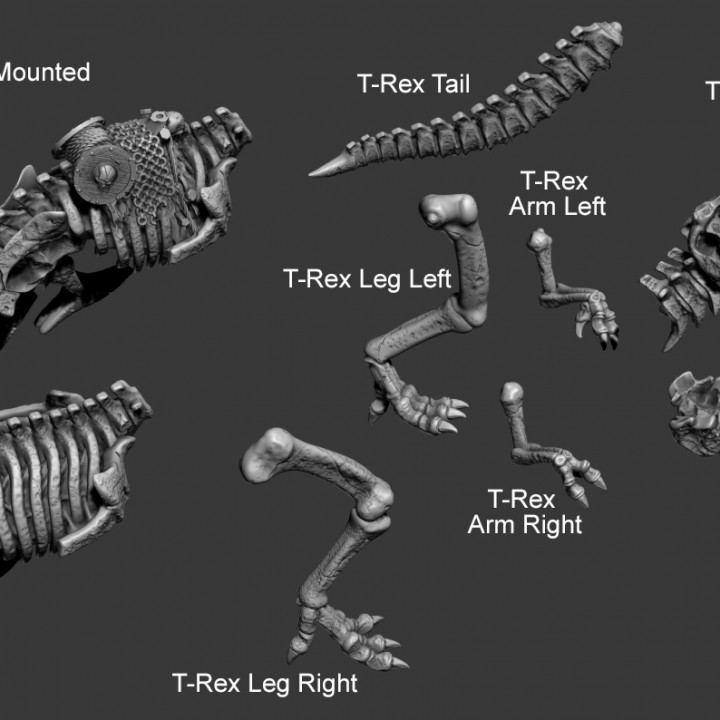 T-REX + RIDER image