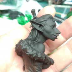 Picture of print of Zayna The Golden Gobliness Goblin Bust