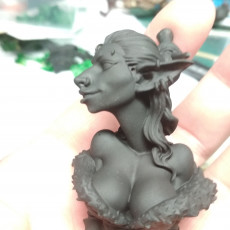 Picture of print of Zayna The Golden Gobliness Goblin Bust