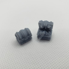 Picture of print of Mimics Pack