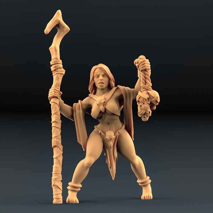 Blood Priestesses - 3 Units (AMAZONS! Kickstarter) image