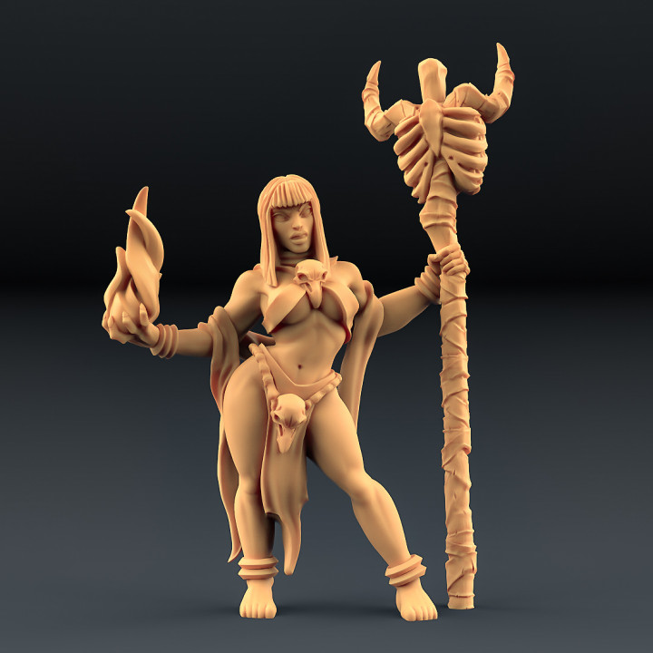 Blood Priestesses - 3 Units (AMAZONS! Kickstarter) image