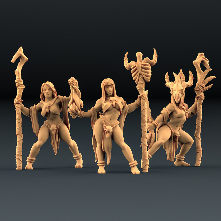 Blood Priestesses - 3 Units (AMAZONS! Kickstarter) image