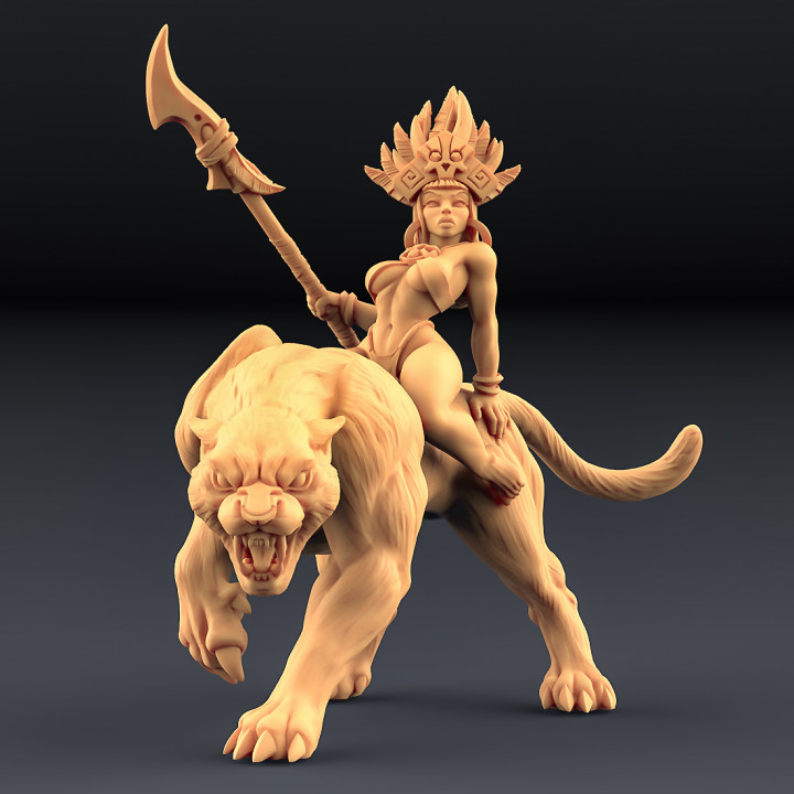 Kaata, Princess on Panther (AMAZONS! Kickstarter) image