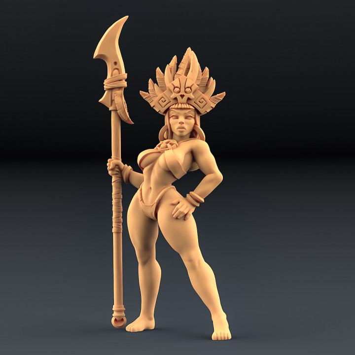 Kaata, Princess on Panther (AMAZONS! Kickstarter) image