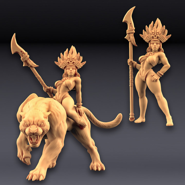 Kaata, Princess on Panther (AMAZONS! Kickstarter) image