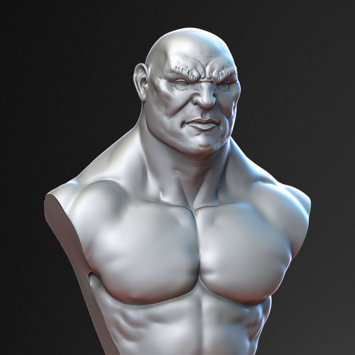 Academic Bust- Human Brute image