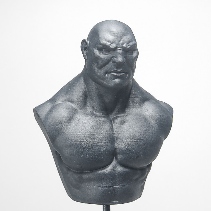 Academic Bust- Human Brute image