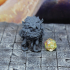 Corpse Flower - D&D Miniature print image