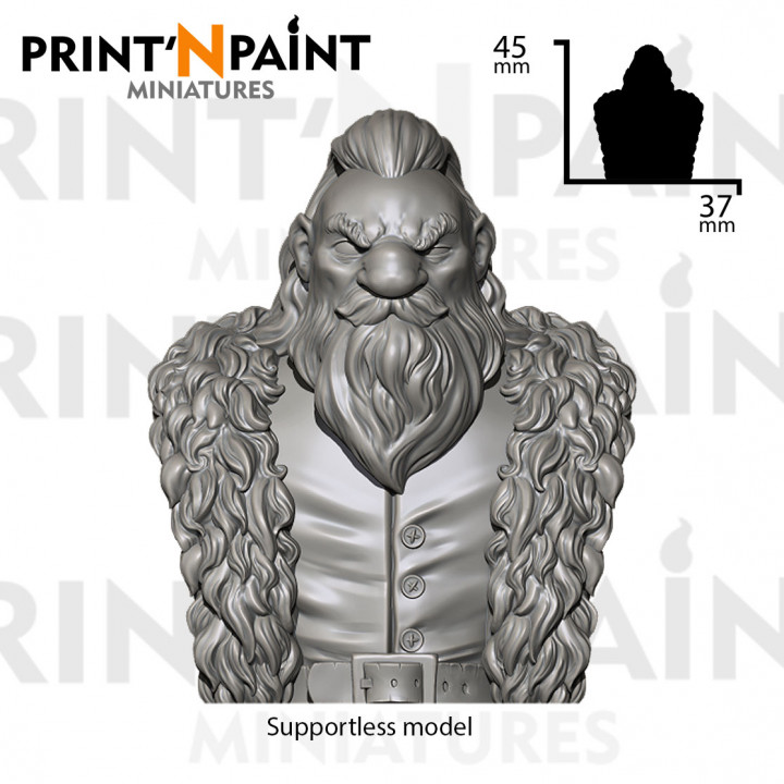 Adventurer Dwarf bust image