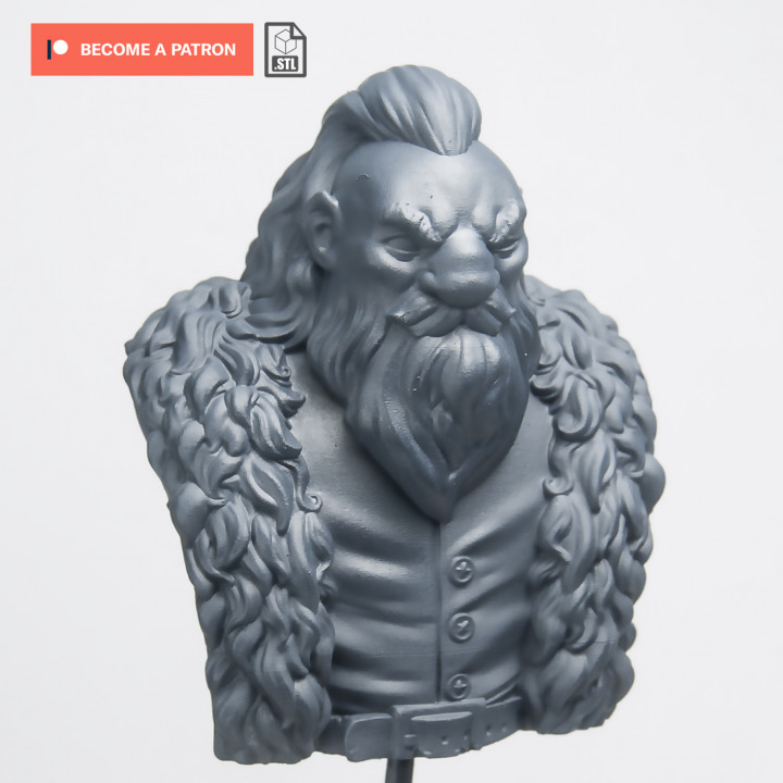 Adventurer Dwarf bust image