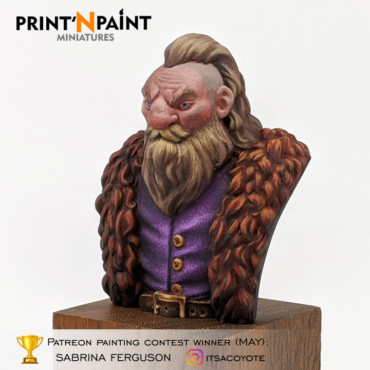 Adventurer Dwarf bust image