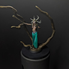 Picture of print of Female Druid