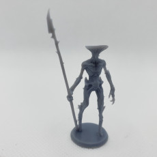 Picture of print of Myconid Soldier