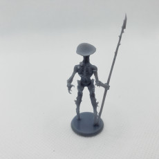 Picture of print of Myconid Soldier