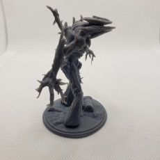 Picture of print of Treant Soldier Skinny